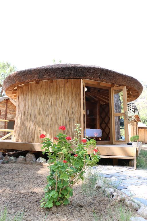 Chakra Beach Kabak Faralya Bagian luar foto